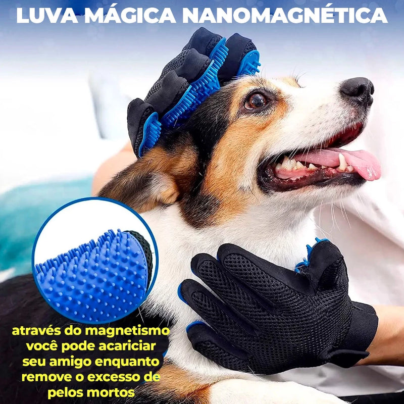 Kit Cuidados Pet Luva Tira Pelos Nano + Escova lava Pet Silicone Dispenser + pente escova removedora de pelos mortos kit banho lava pets Cachorro Gato